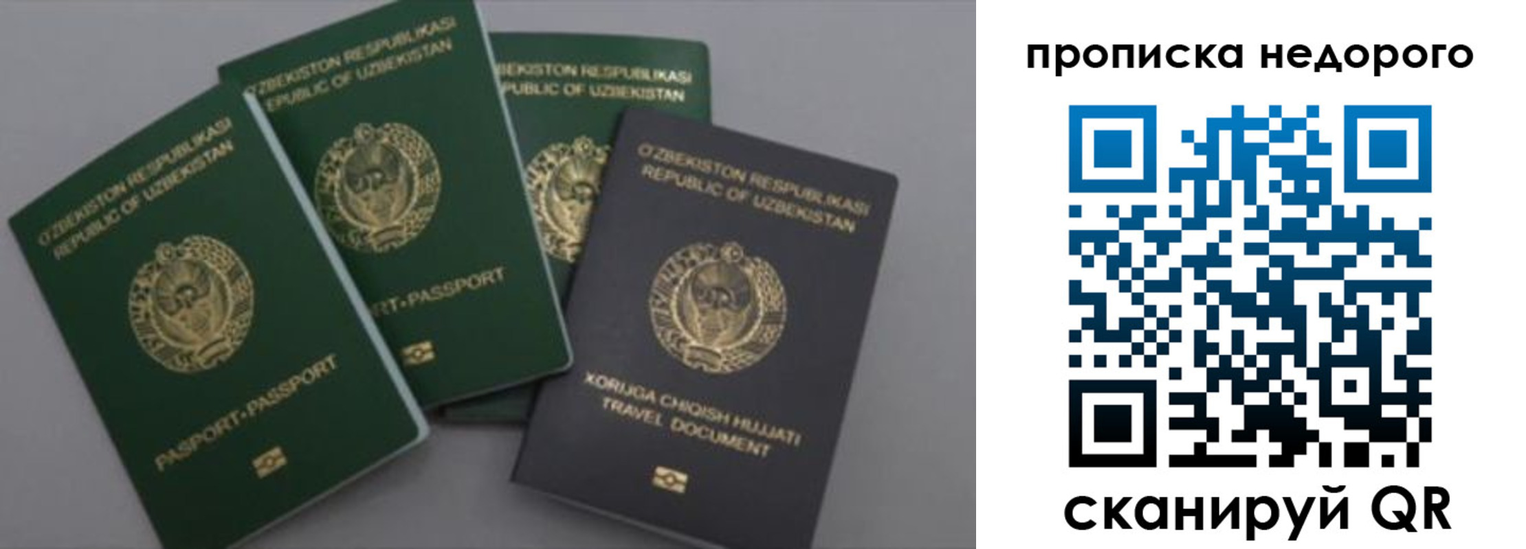 регистрация для школы в Ельце